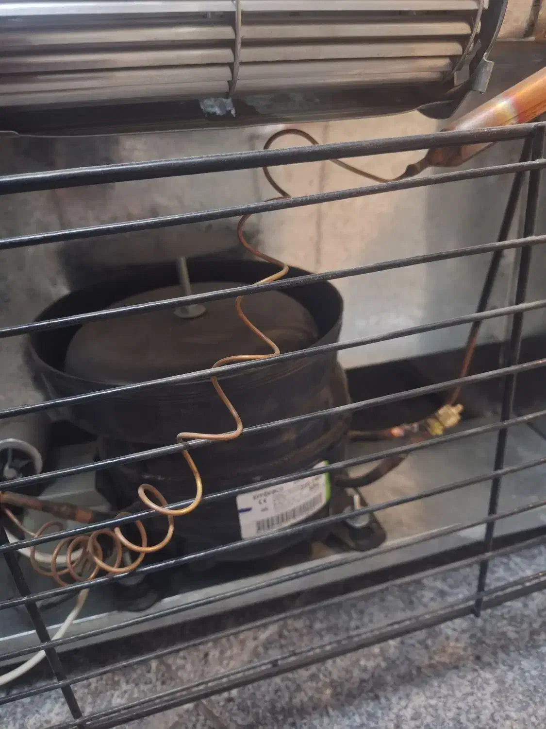 یخچال هایپ|فروشگاه و مغازه|مشهد, کوشش|دیوار