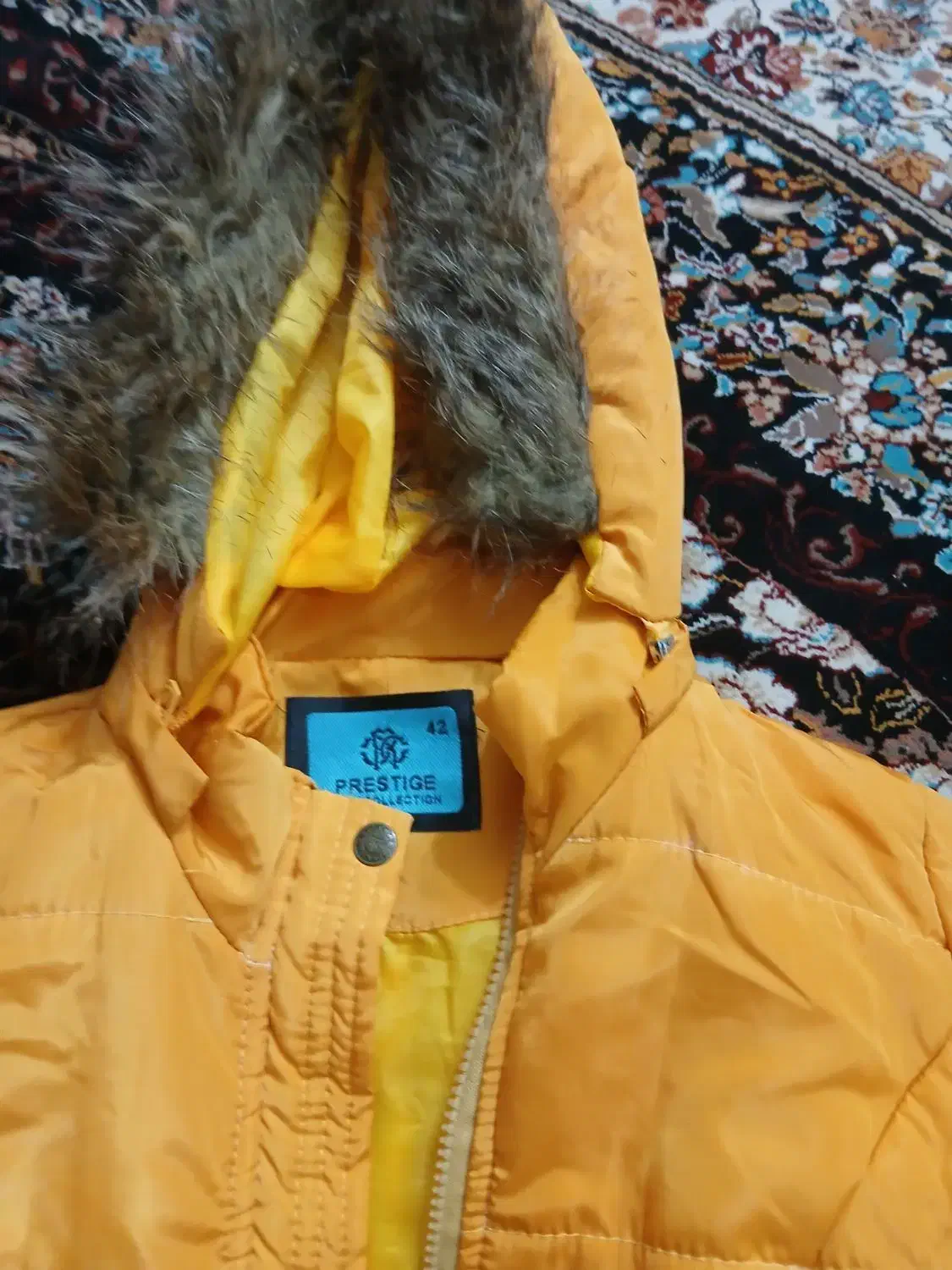 کاپشن نونو|لباس|شاهین‌شهر, فردوسی|دیوار