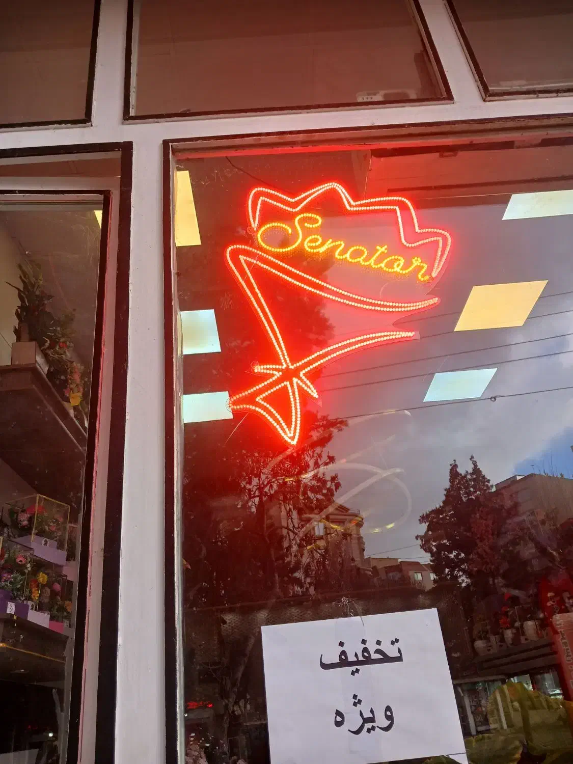 ال ای دی ونئون فلکسی|فروشگاه و مغازه|کرمانشاه, |دیوار