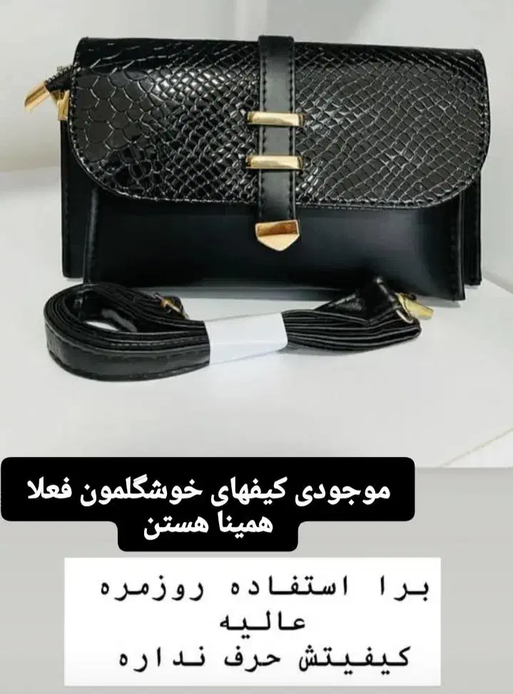 کیف مجلسی زنانه|کیف، کفش، کمربند|ماکو, |دیوار