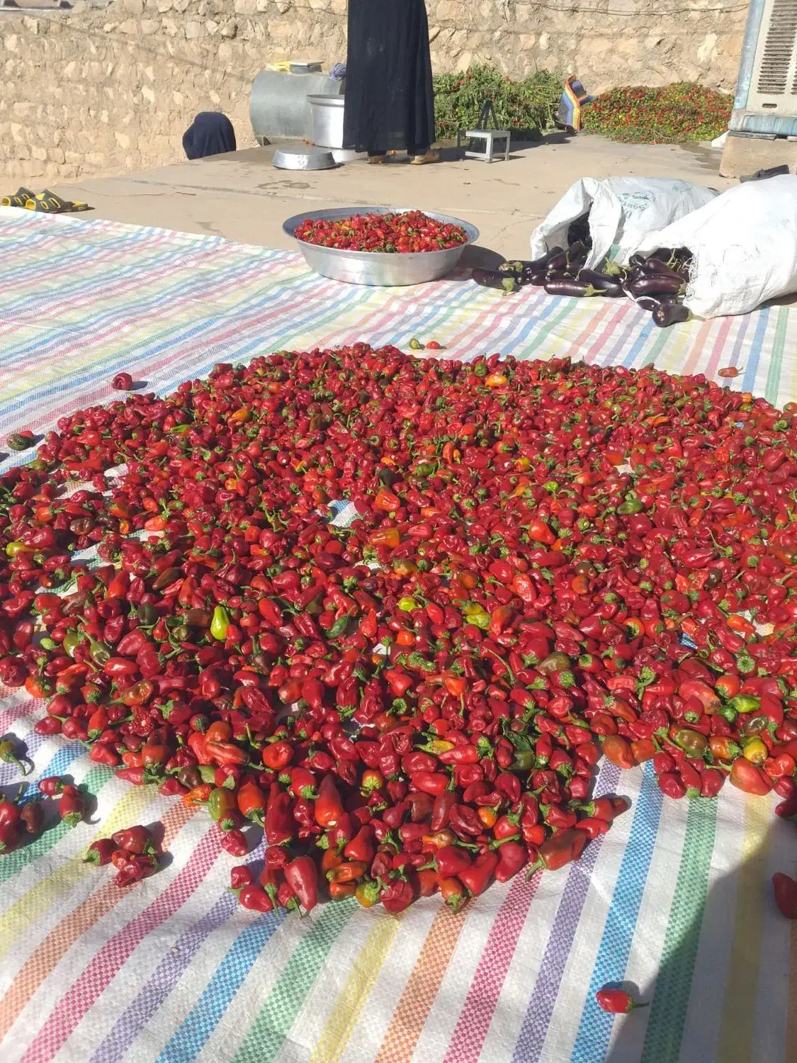 فلفل و بادمجان عمده سر مزرعه|خوردنی و آشامیدنی|شباب, |دیوار