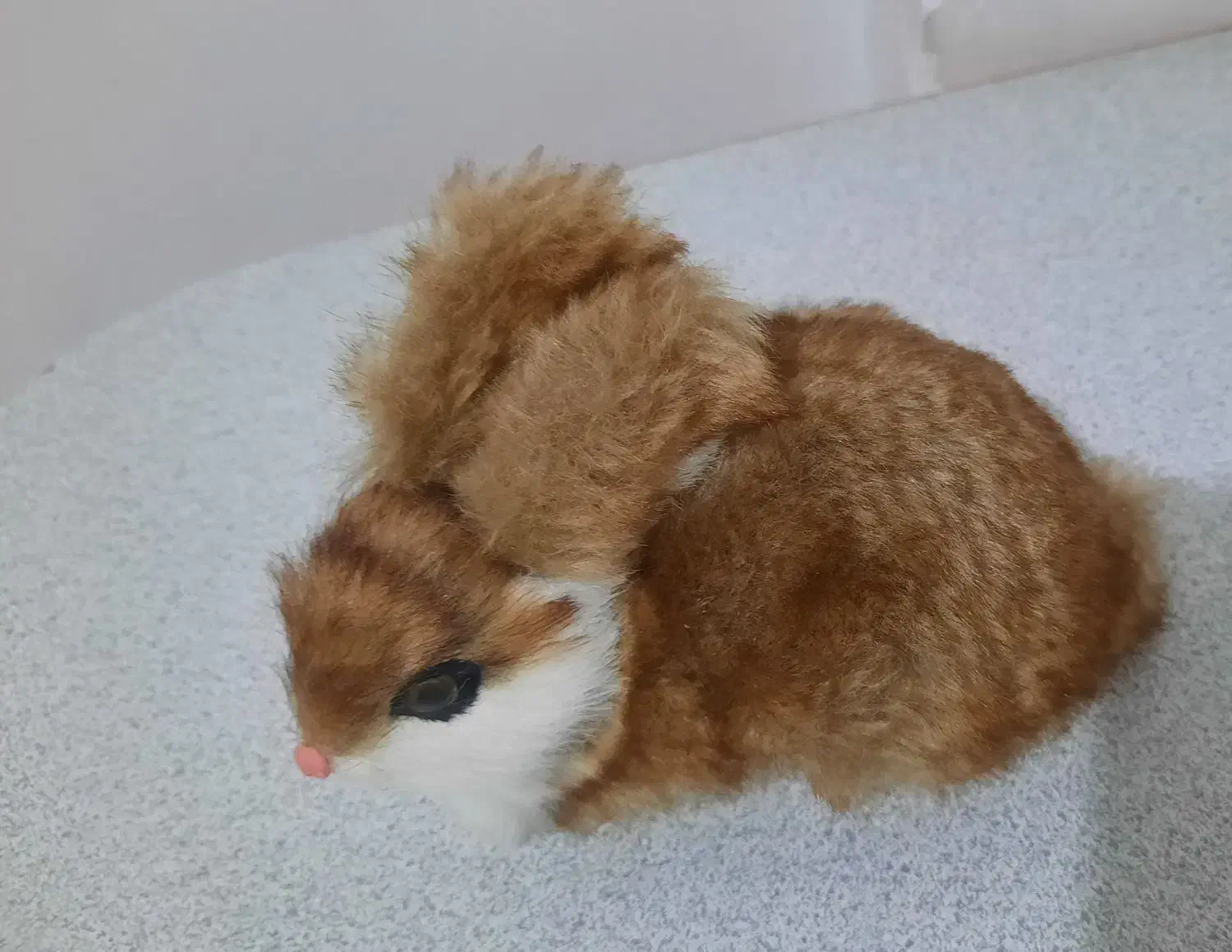 عروسک خرس و خرگوش|اسباب‌بازی بچه|سقز, |دیوار