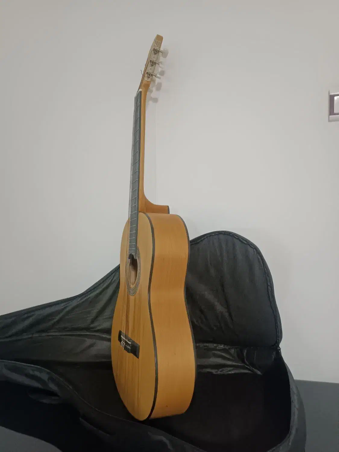 گیتار کلاسیک Unique|گیتار، بیس، امپلیفایر|قدس, شهرقدس|دیوار