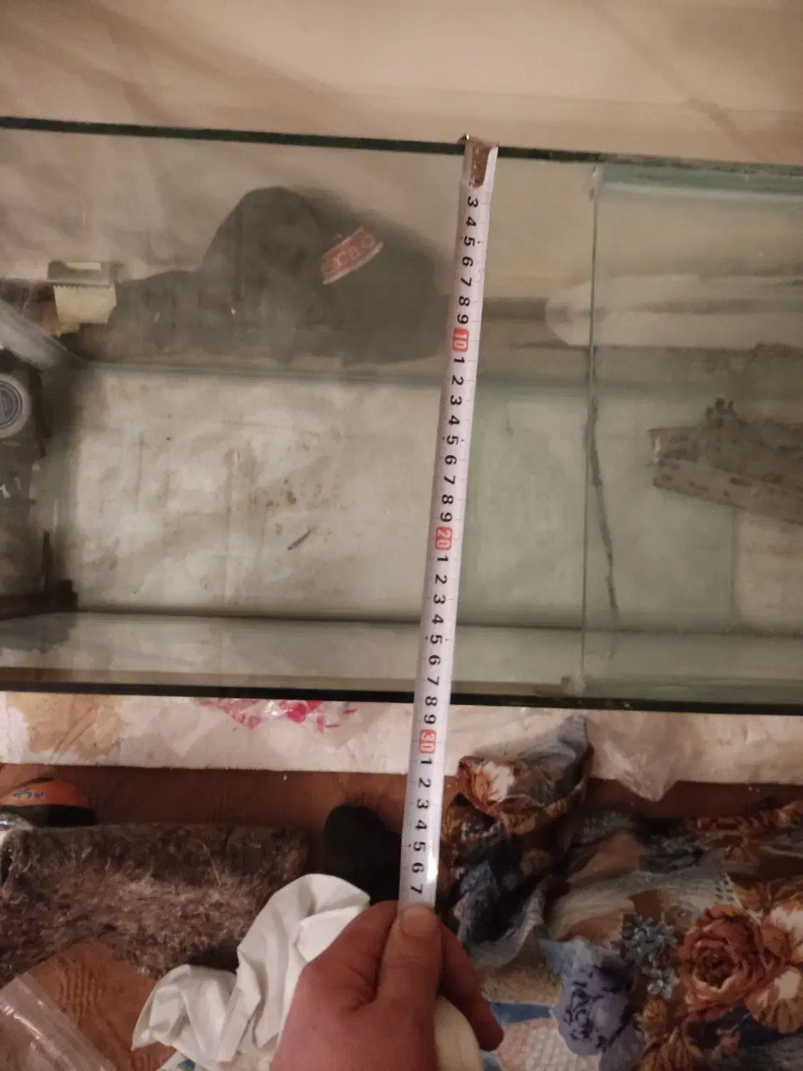 آکواریوم ماهی|ماهی|باسمنج, |دیوار