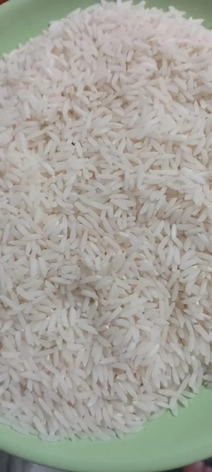 برنج هاشمی|خوردنی و آشامیدنی|رشت, کوی مهر|دیوار