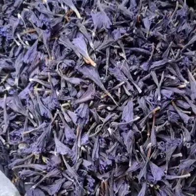 گل گاوزبان|خوردنی و آشامیدنی|محمدیه-قزوین, |دیوار