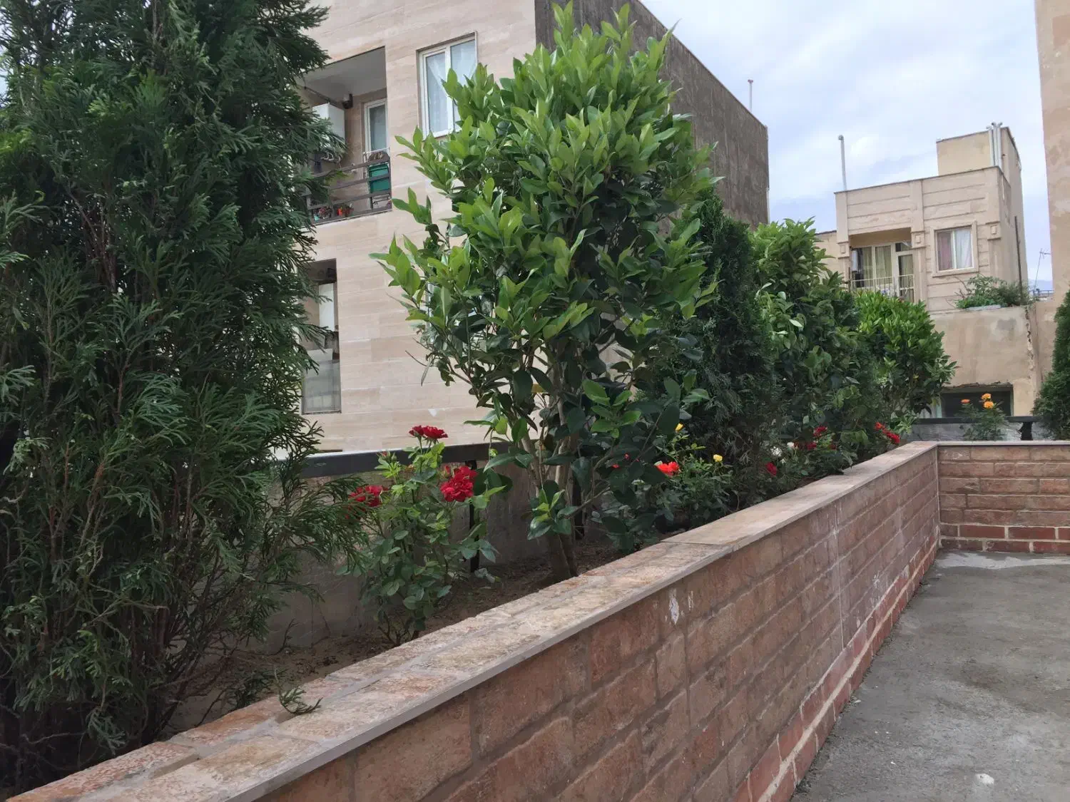 22 متر سندی 26 متر رویتی|فروش آپارتمان|تهران, توحید|دیوار