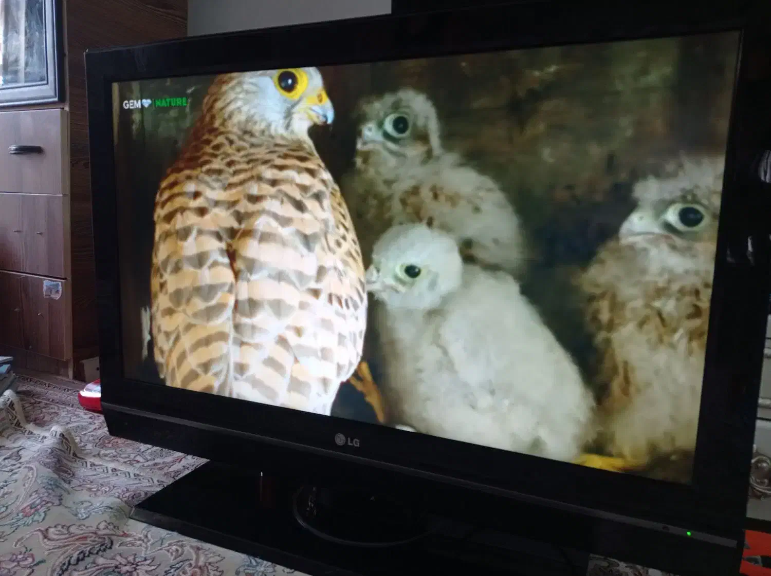 تلویزیون ال جی در حد نو اصل کره همراه با میز|تلویزیون و پروژکتور|اردبیل, |دیوار