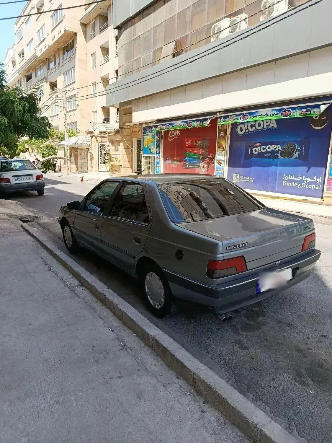 405 مدل 91 دوگانه کارخانه|خودرو سواری و وانت|مشکین‌دشت, |دیوار