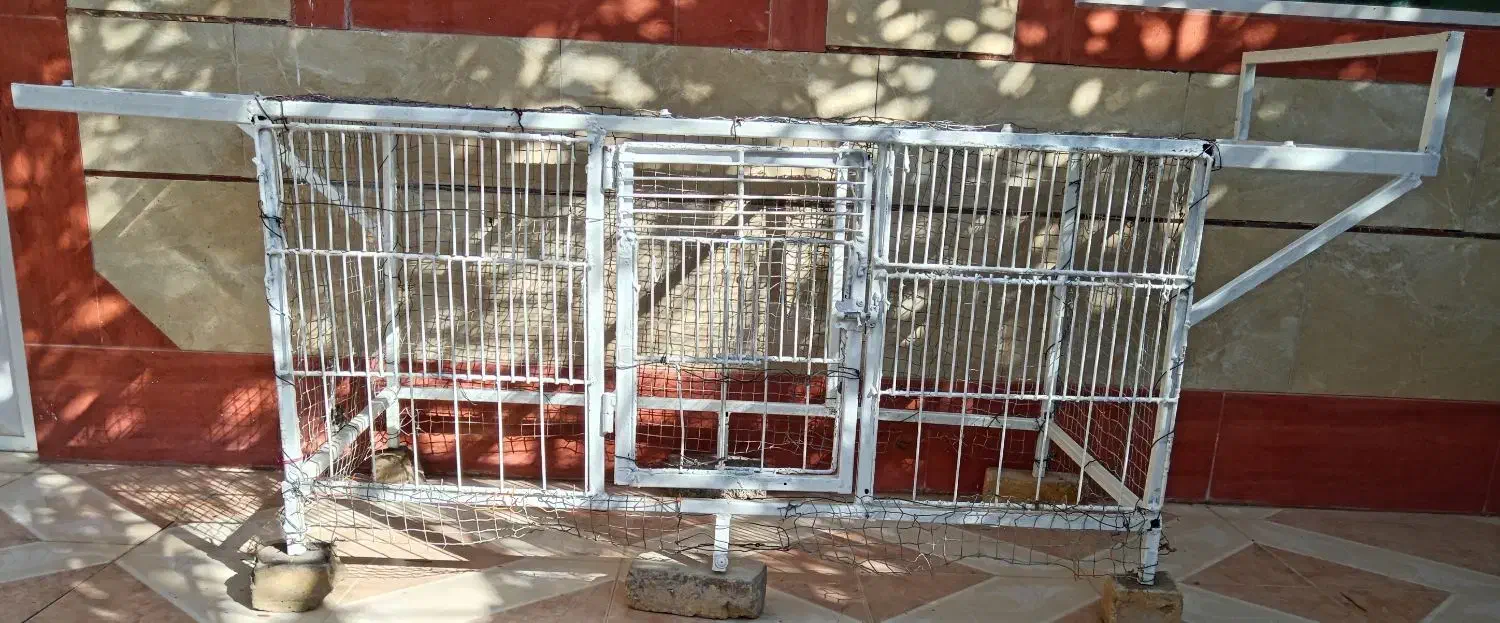 تخت خواب فلزی و قفس|لوازم جانبی حیوانات|برازجان, |دیوار