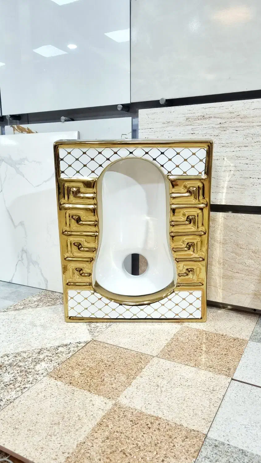 سنگ توالت سیلور و طلایی|لوازم سرویس بهداشتی|کارون, |دیوار