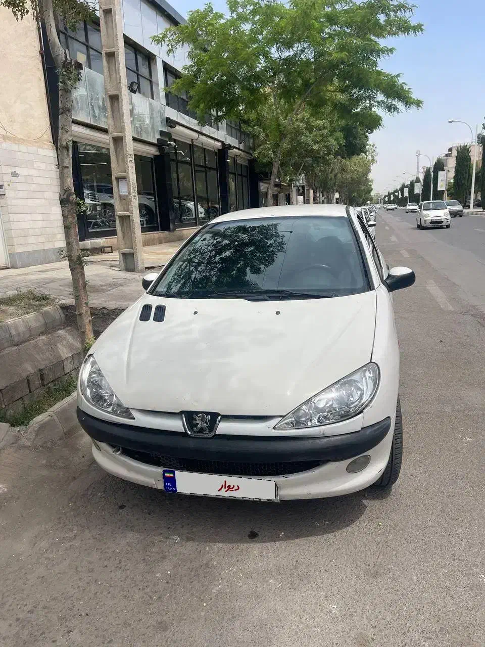 206 سفید|خودرو سواری و وانت|کرمان, |دیوار