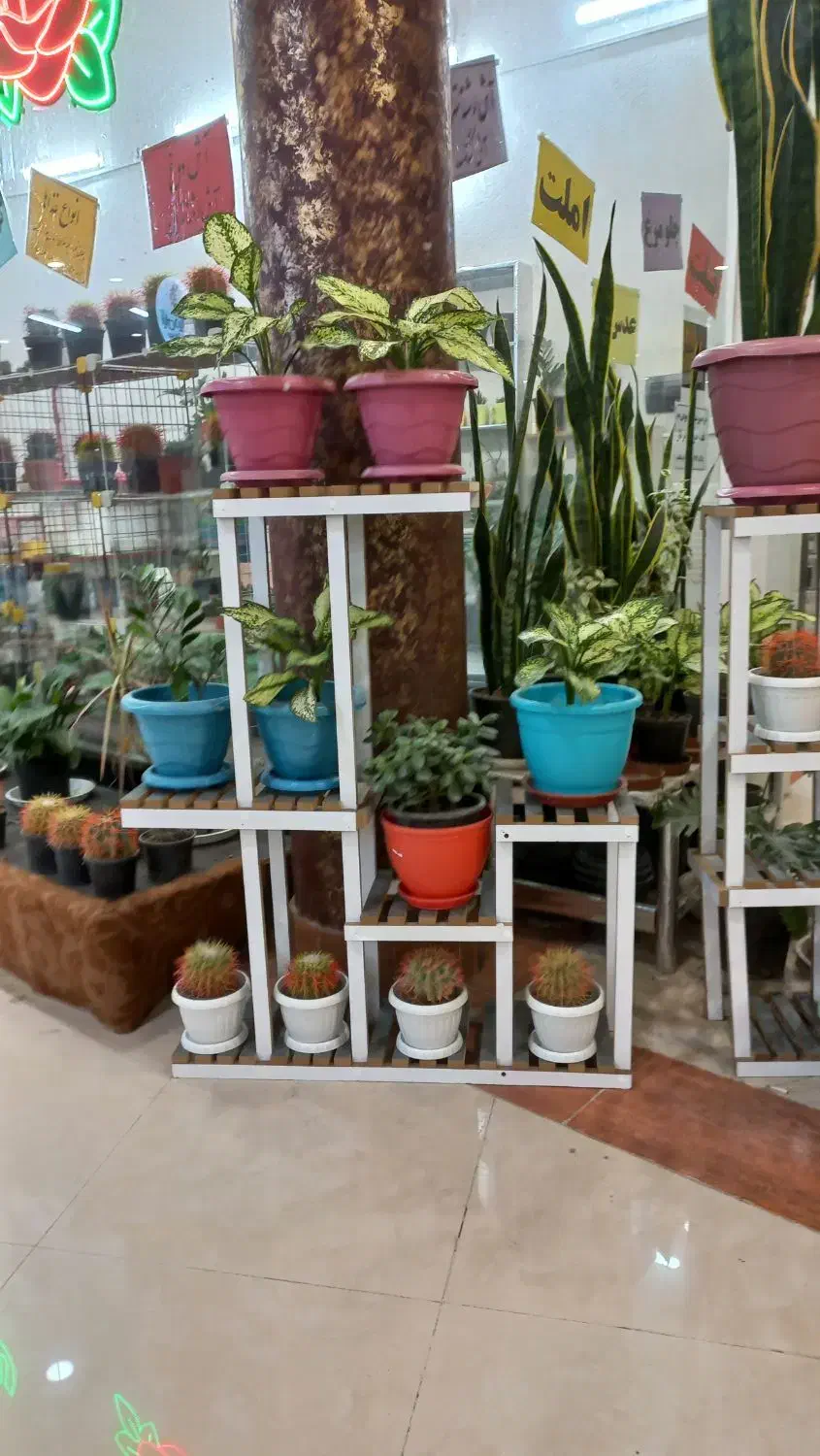 تولیدی استندگلدانی|گل و گیاه طبیعی|اردبیل, |دیوار