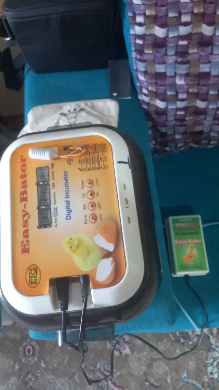 دستگاه جوجه کشی ایزیباتور ۶|لوازم جانبی حیوانات|پاکدشت, پاکدشت (مامازند)|دیوار