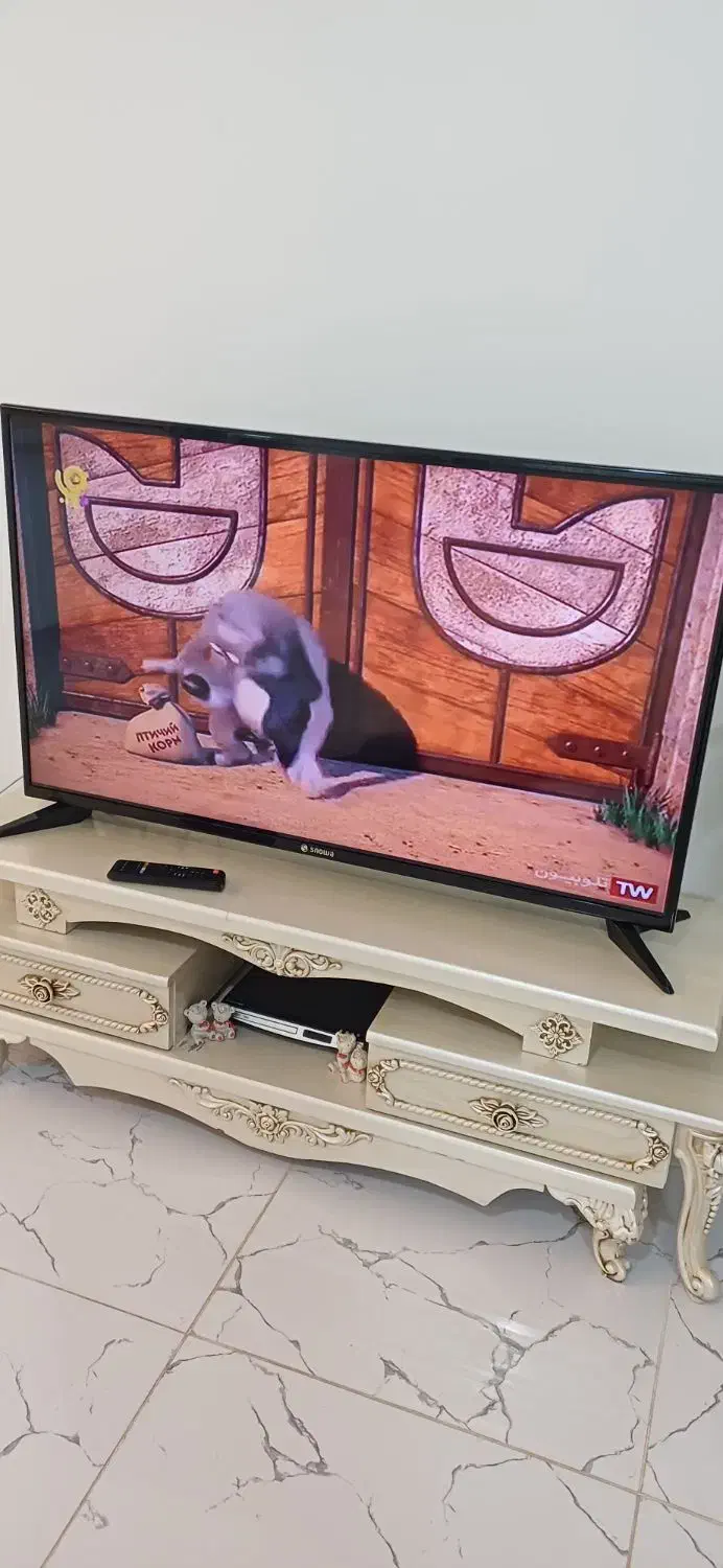 تلویزیون اسنوا ۴۹ اینچ|تلویزیون و پروژکتور|قزوین, |دیوار