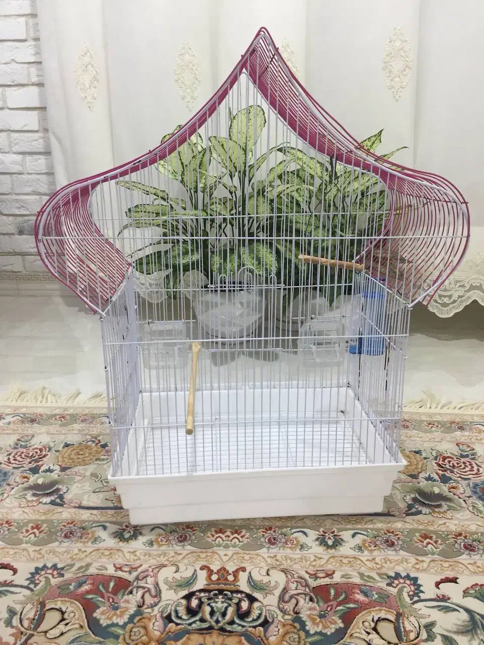 قفس پرنده،کوتوله برزیلی،عروس هلندی|لوازم جانبی حیوانات|کلارآباد, |دیوار