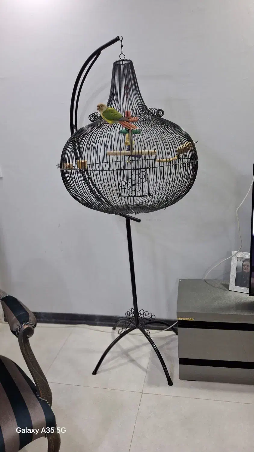 قفس آویز بزرگ طوطی با ساخت سفارشی|لوازم جانبی حیوانات|کرج, باغستان|دیوار