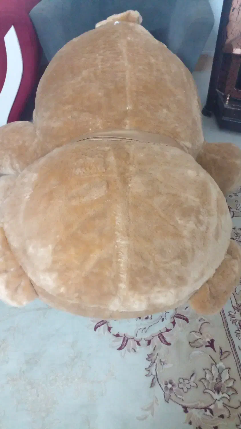 عروسک‌ خرس|اسباب‌بازی بچه|مشهد, کشف|دیوار