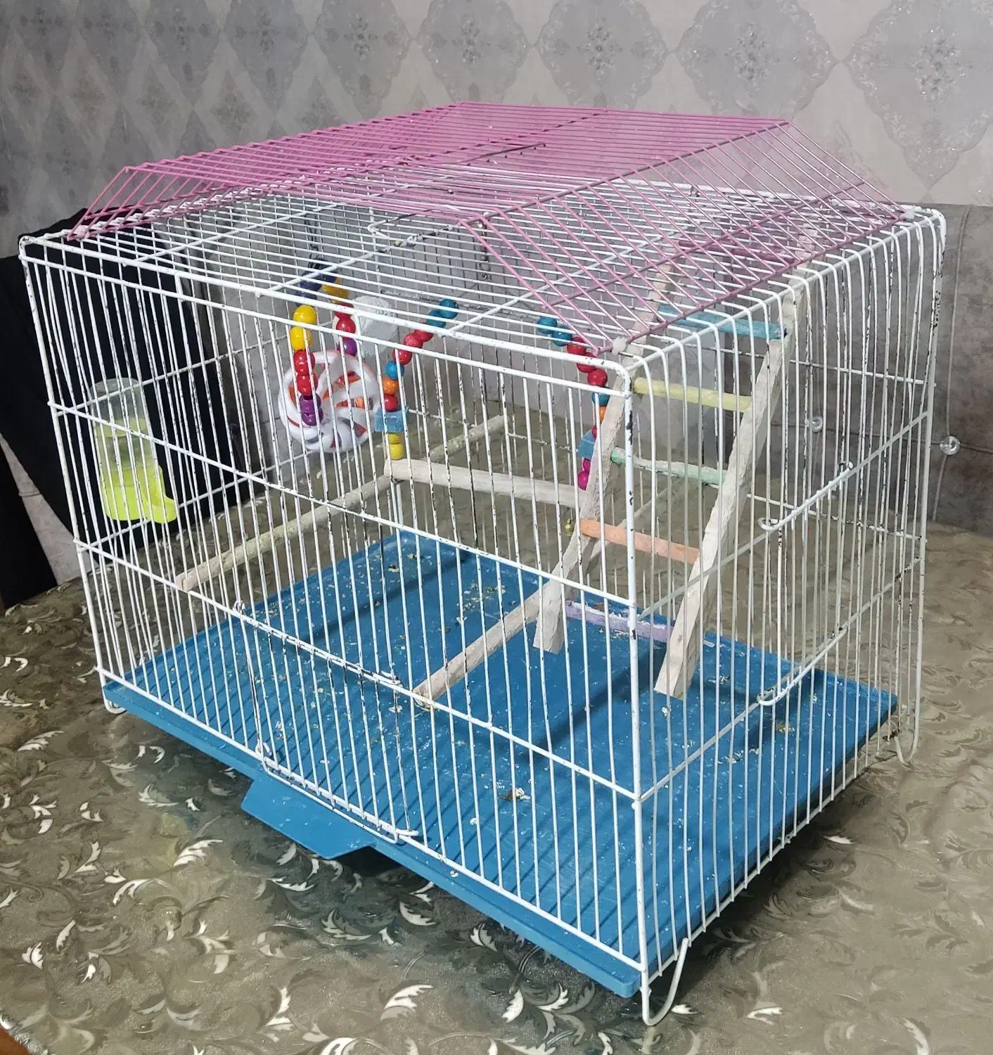 عروس هلندی و قفس|پرنده|سلماس, |دیوار