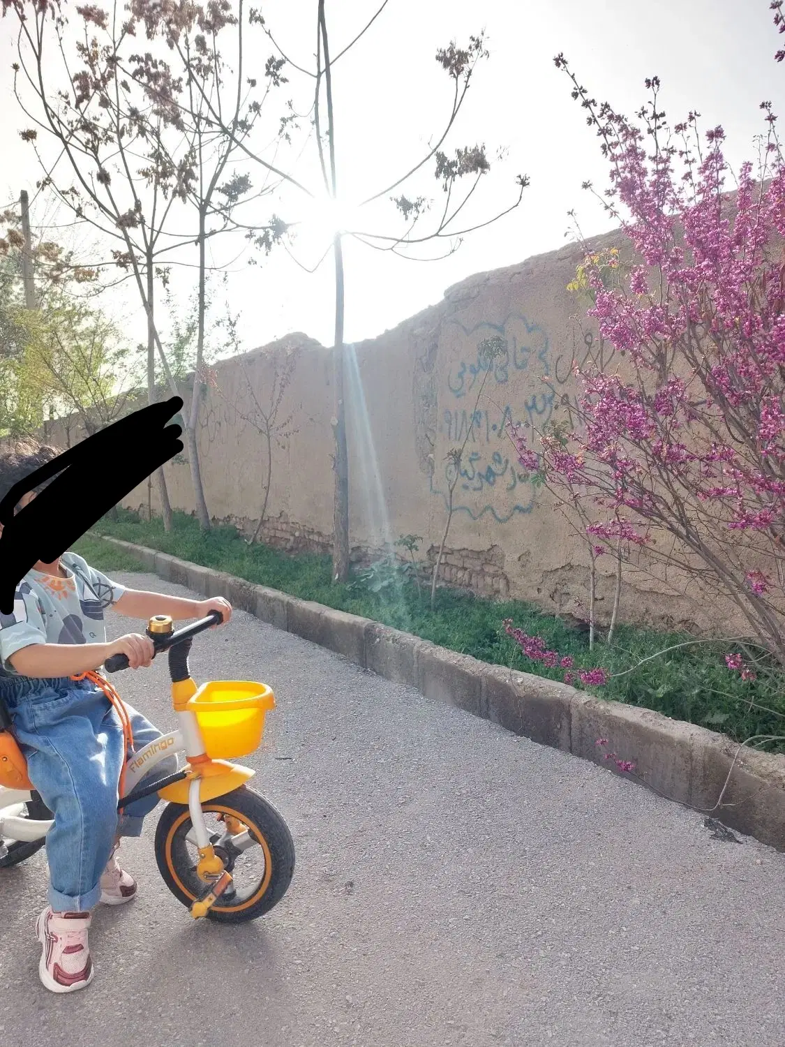 سه چرخه|دوچرخه، اسکیت، اسکوتر|نهاوند, |دیوار