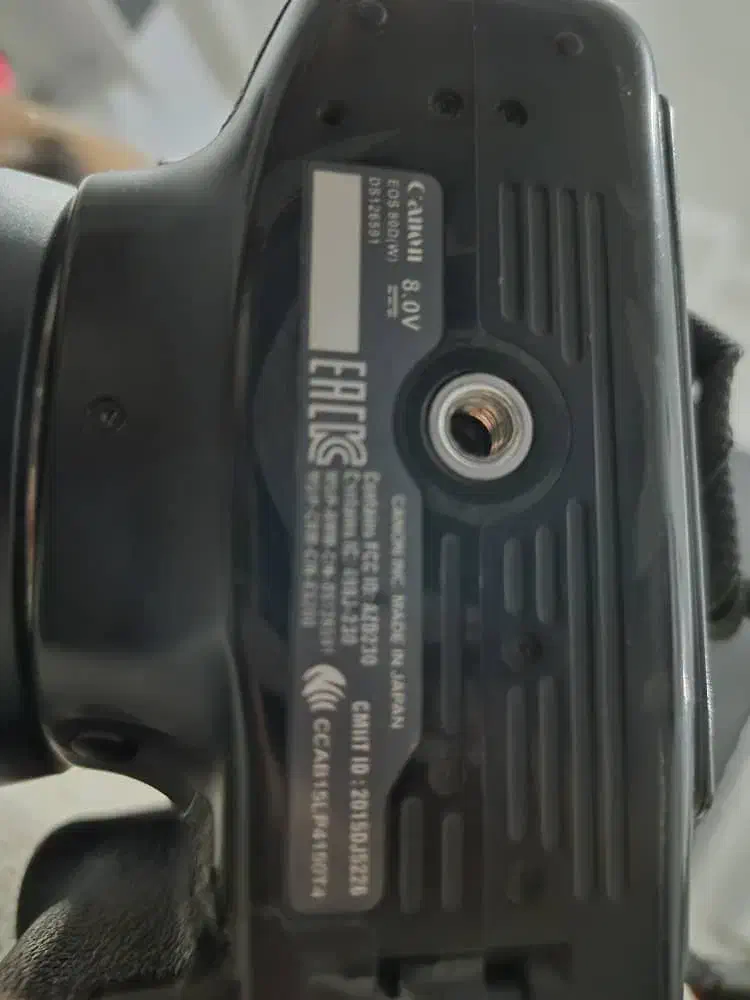 دوربین و لنز|دوربین عکاسی و فیلمبرداری|شیراز, تندگویان|دیوار