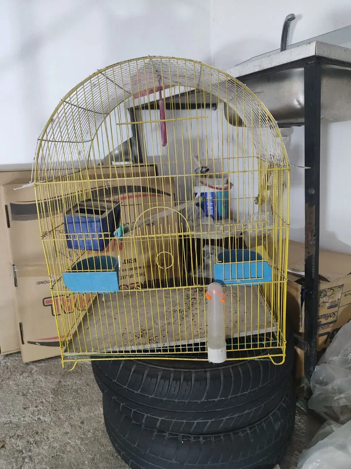 قفس پرنده|لوازم جانبی حیوانات|اندیشه, اندیشه فاز ۱|دیوار