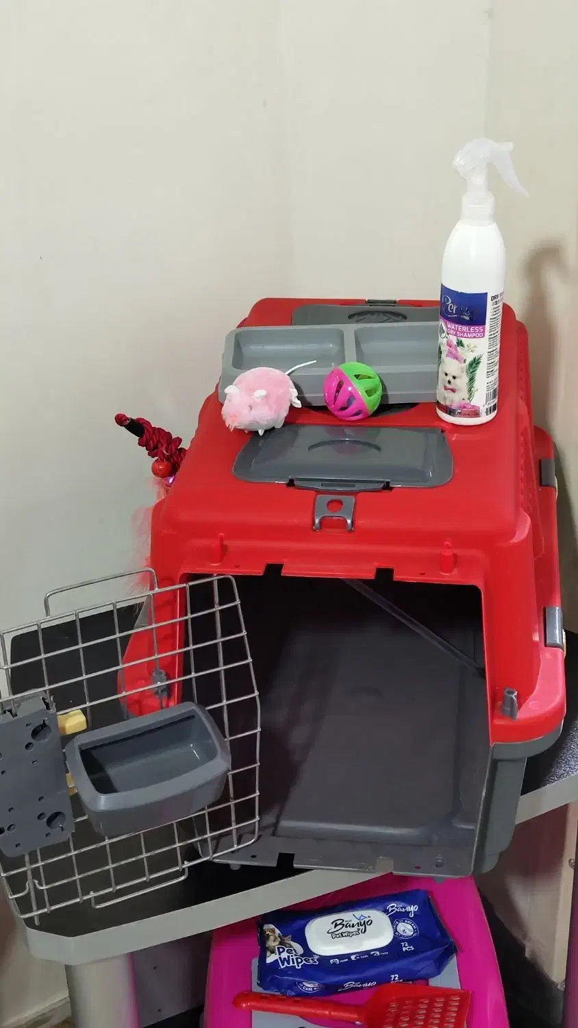 لوازم و باکس های گربه تکمیل|لوازم جانبی حیوانات|تهران, افسریه شمالی|دیوار