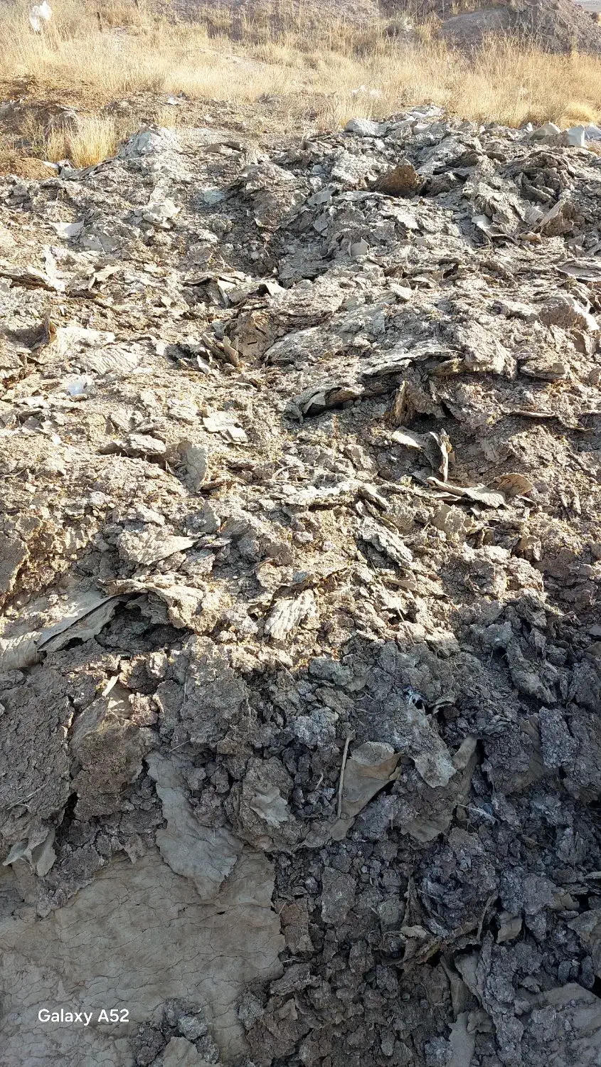 فروش کود جوجه بوقلمون،مرغی|حیوانات مزرعه|تاکستان, |دیوار