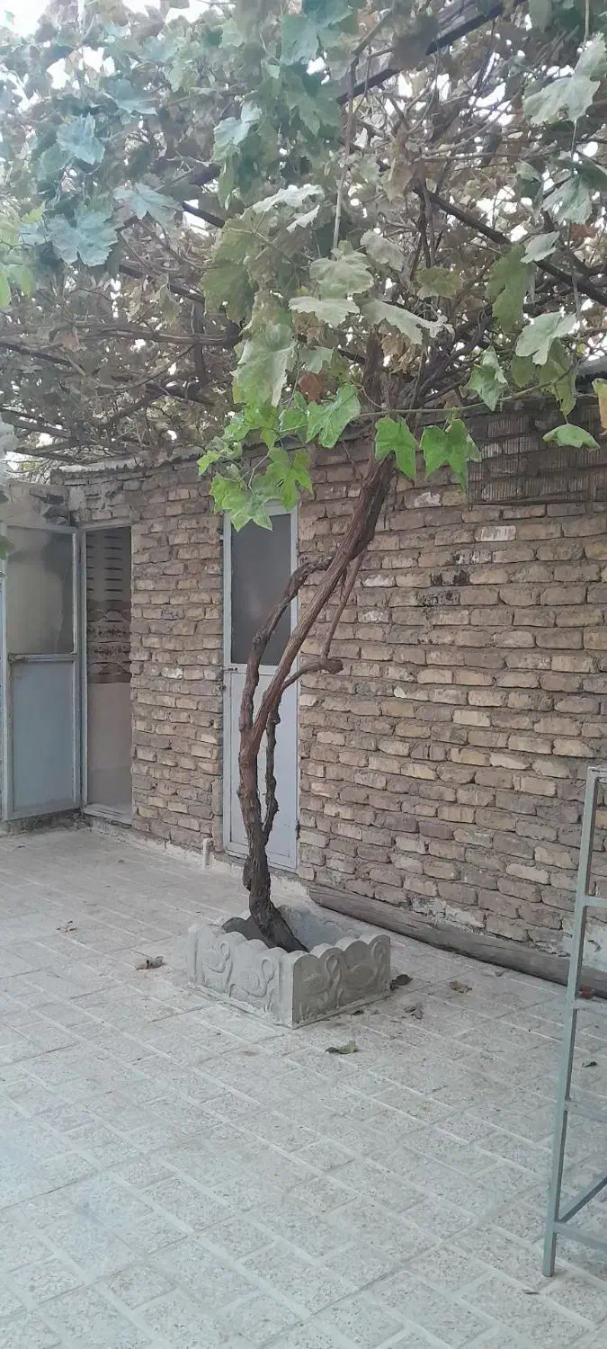 خانه ویلایی|فروش خانه و ویلا|الوند, |دیوار