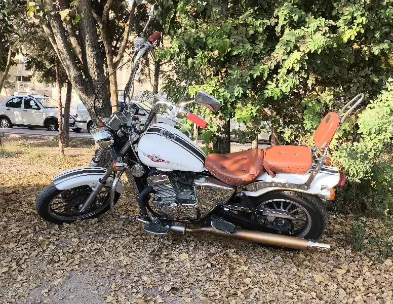 رگالرپتور هارلیدیویدسون معاوضهبامدلهای اسکوتر|موتورسیکلت|تهران, کرمان|دیوار