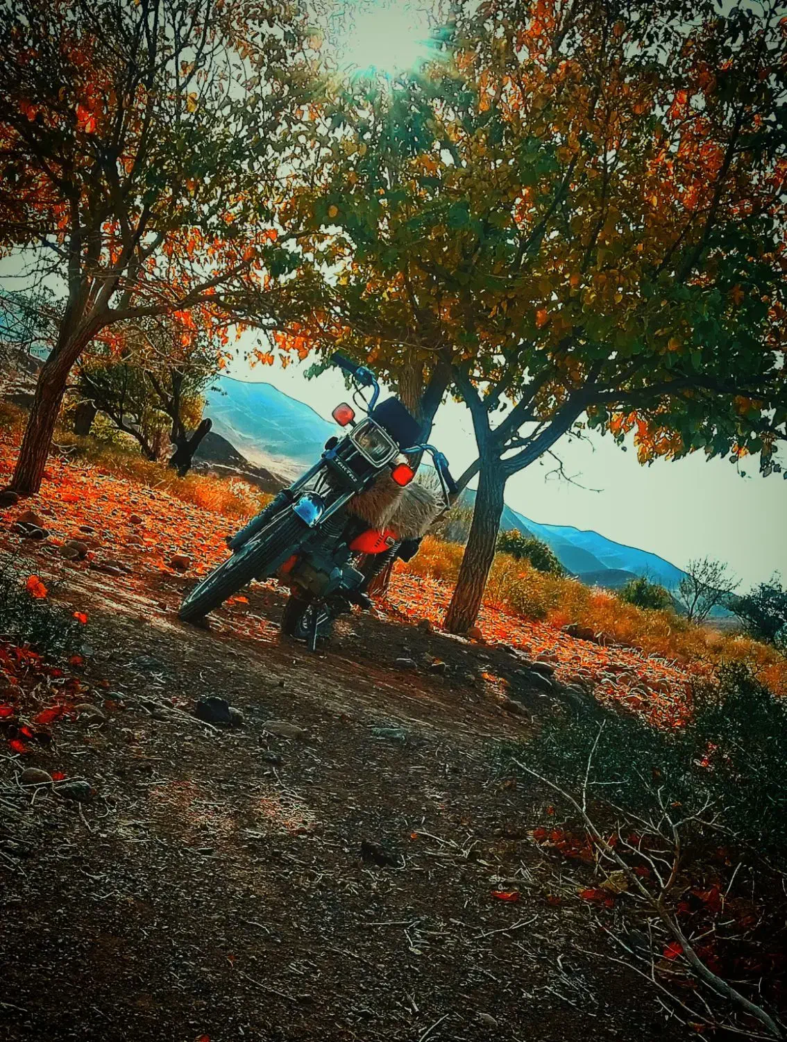 تکتاز|موتورسیکلت|رشتخوار, |دیوار