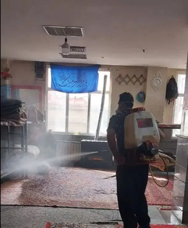 حذف وریشه کنی حشرات موذی فقط دریک مرحله باضمانت|خدمات نظافت|بومهن, |دیوار