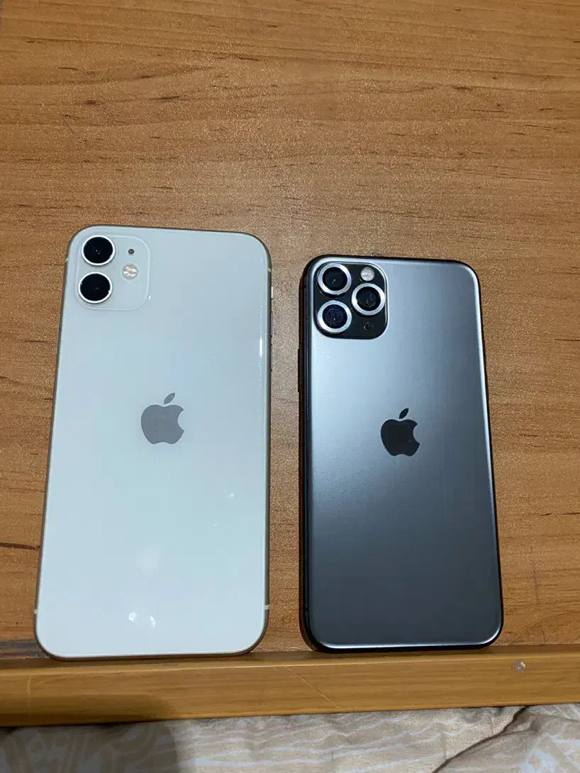 آیفون ۱۱نرمال وپرو|موبایل|سمنان, |دیوار