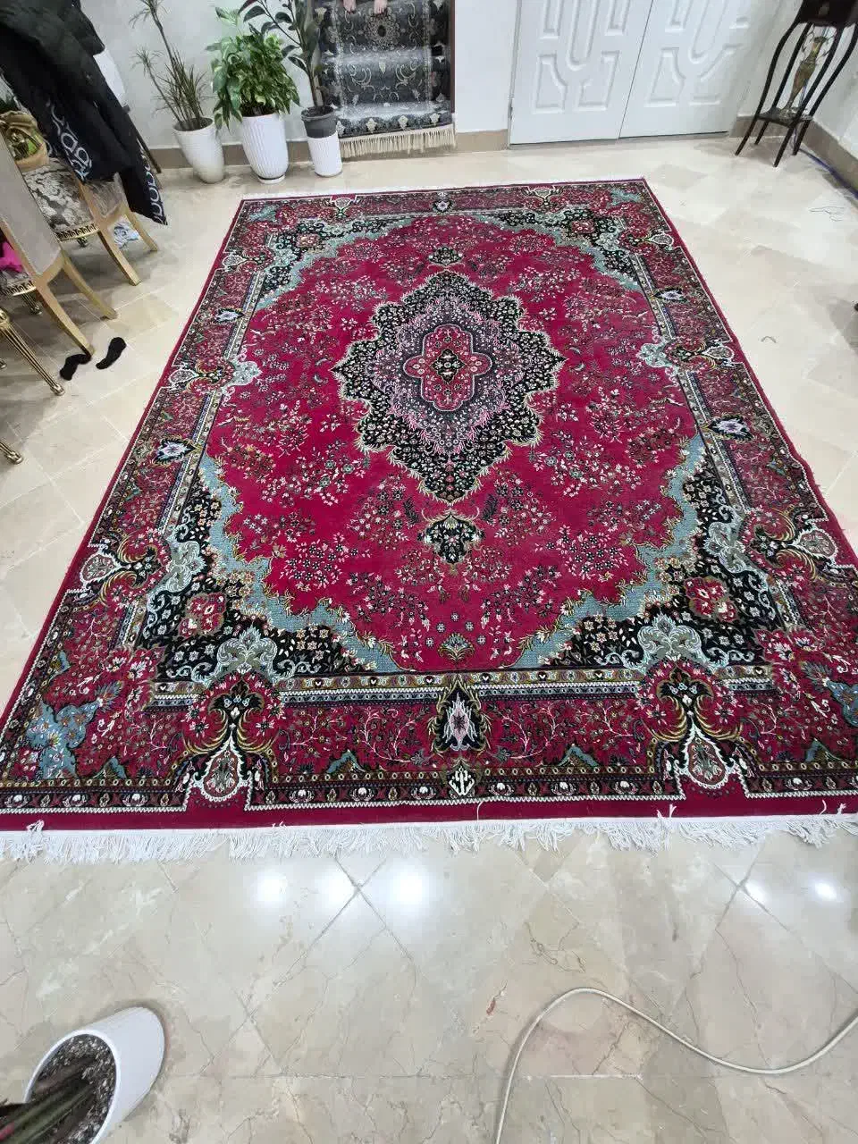 فرش ۱۲متری|فرش|قم, کلهری|دیوار