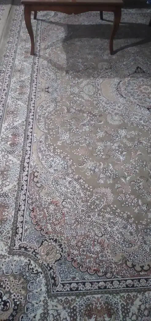 دو تخته فرش سالم|فرش|ماسال, |دیوار