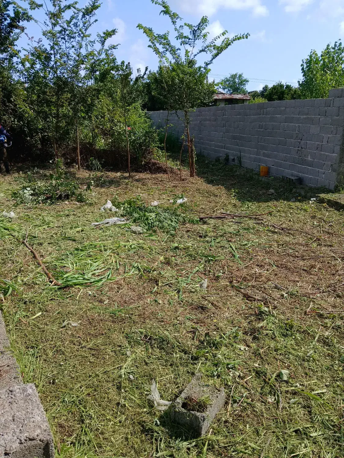 زمین فروش فوری|فروش زمین و ملک کلنگی|سرخه حصار, |دیوار