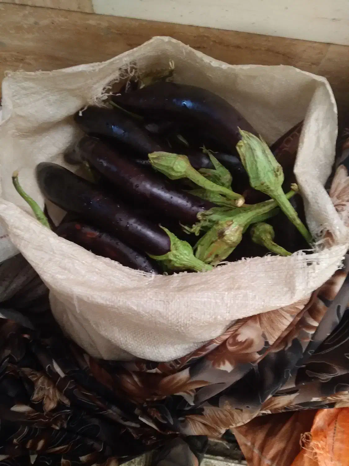 بادمجان چابلندی درجه یک بادمجان گوسفندی هم داریم|خوردنی و آشامیدنی|نیشابور, سرآب کوشک|دیوار