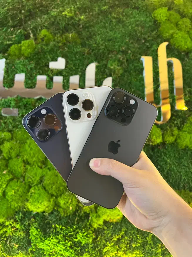 iPhone 14 Pro|موبایل|مشهد, بهشت|دیوار