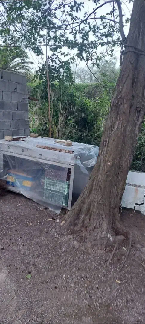 فر ۲ طبقه پیتزا و کباب پز|کافیشاپ و رستوران|نوشهر, |دیوار