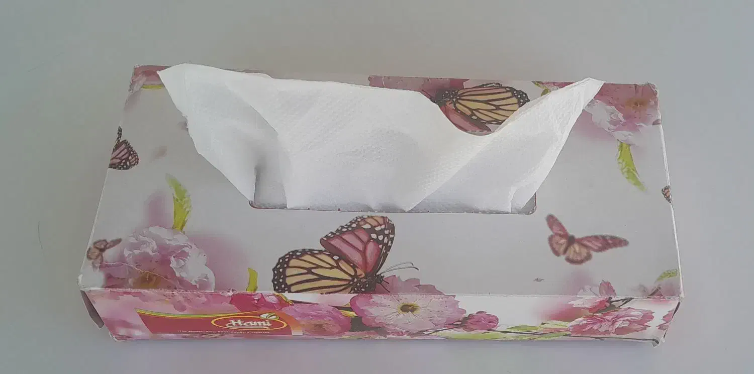 دستمال کاغذی ۲۰۰برگ حامی|مواد شوینده و دستمال کاغذی|بیرجند, |دیوار