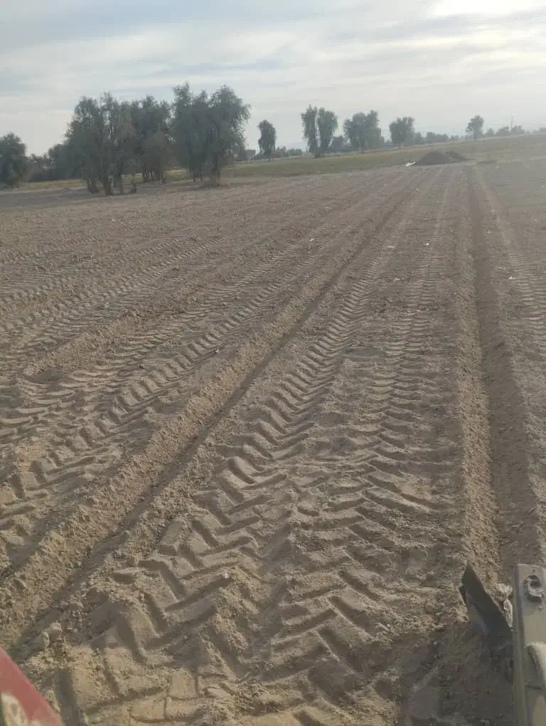 زمین شراکتی کاشت گوجه|اجارهٔ دفتر صنعتی، کشاورزی، تجاری|عنبرآباد, |دیوار