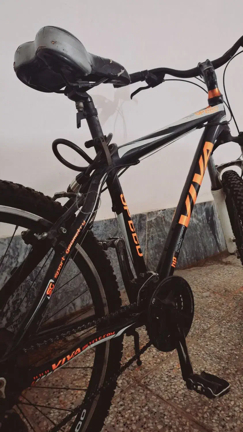 دوچرخه ویوا تایوانی|دوچرخه، اسکیت، اسکوتر|بروجرد, |دیوار