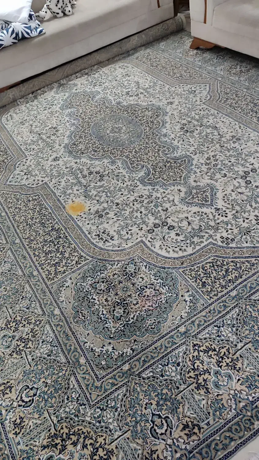 فرش کرم سبز|فرش|کرج, گلشهر|دیوار