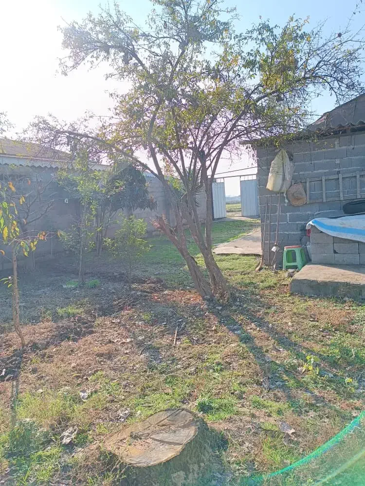 330متر زمین بنا کلنگی|فروش زمین و ملک کلنگی|زیباکنار, |دیوار