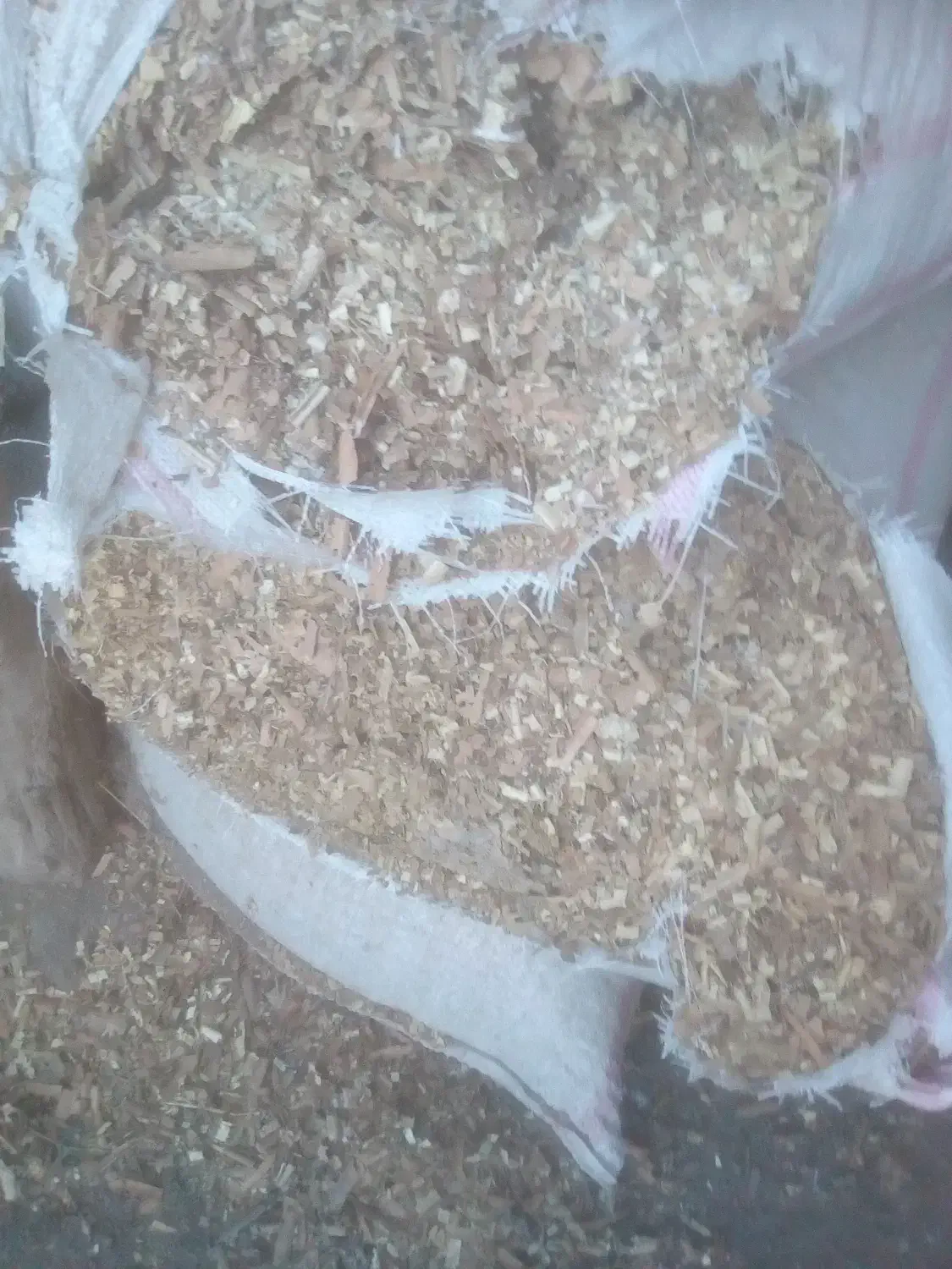 پوکه نجاری|حیوانات مزرعه|سراب, |دیوار