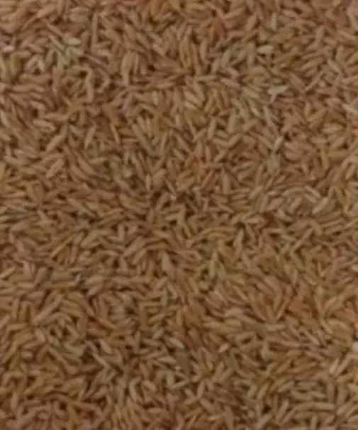 چلتوک چلتیک|خوردنی و آشامیدنی|سیدان, |دیوار