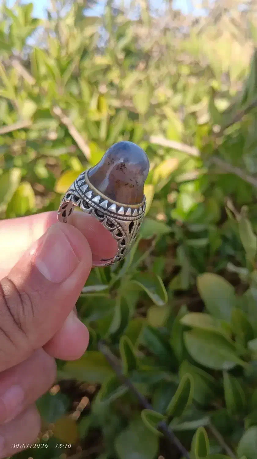 انگشتر شجر پاییزی|جواهرات|بم, |دیوار