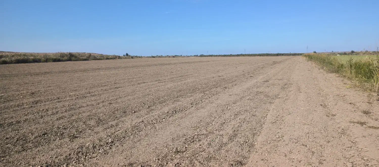 هشت هکتار زمین مزروعی به اجاره داده می شود|اجارهٔ دفتر صنعتی، کشاورزی، تجاری|پارس‌آباد, |دیوار