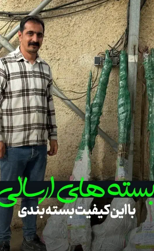 نهال بادام اصل نهالستان سالم|خدمات باغبانی و درختکاری|آباده, |دیوار