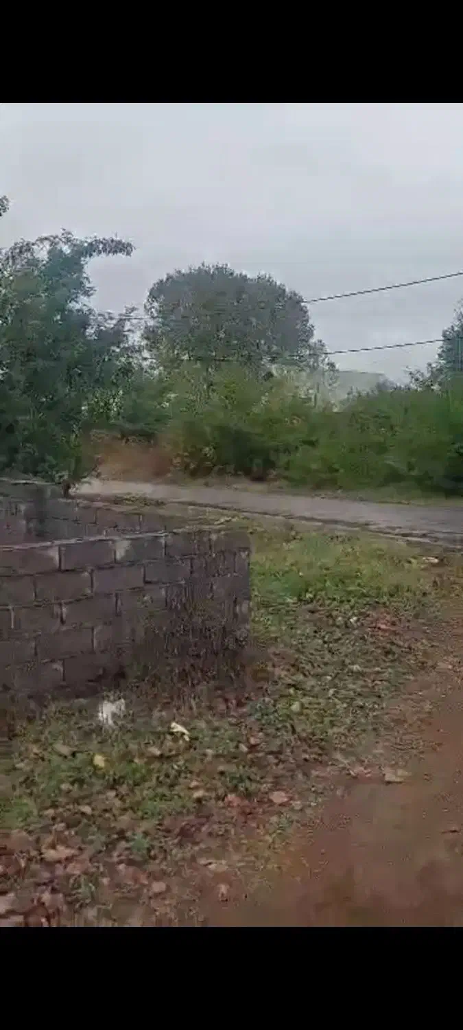 فروش زمین مسکونی ۳بهر بندر چمخاله|فروش زمین و ملک کلنگی|چاف و چمخاله, |دیوار